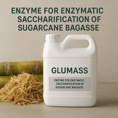 Un buon prezzo. Macchine per la fresatura di biomassa per le pannocelle di mais, la canna da zucchero, il bagassa e altri materiali lignocellulosici che garantiscono una produzione costante in linea