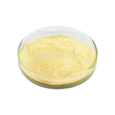 Un buon prezzo. Lipido industriale Biocatalysis di uso degli enzimi della lipasi dell'acqua dell'olio che aumenta digeribilità grassa in linea