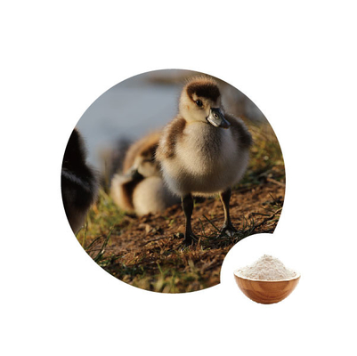 Un buon prezzo. glucosi ossidasi di 10000u G in enzimi del pollame di 1.1.3.4 di numero di EC di industria alimentare in linea