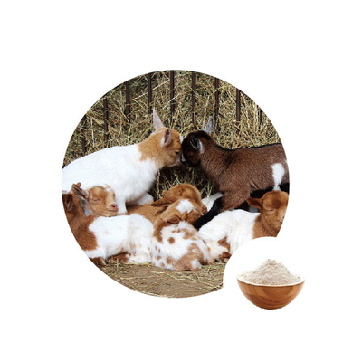 Un buon prezzo. EC numero 1.1.3.4 del glucosio ossidasi dell'additivo alimentare in linea