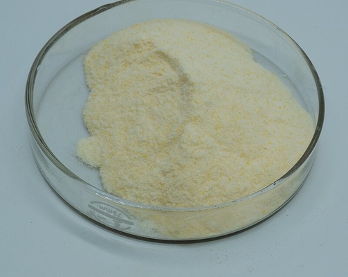Un buon prezzo. Additivo alimentare degli enzimi di Xylanase di attività di 99% solubile in acqua in linea