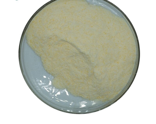 Un buon prezzo. Additivo alimentare degli enzimi dell'amilasi di Maltogenic per il lievito 9000-92-4 in linea