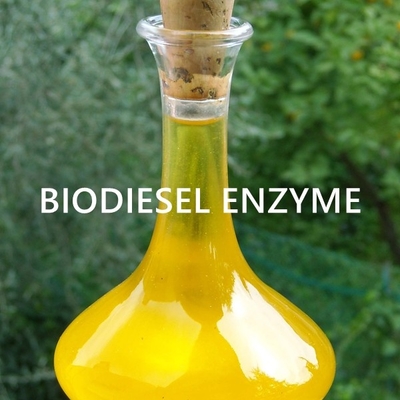 Un buon prezzo. Organizzazione dell'enzima della lipasi per le applicazioni sostenibili dell'olio di bioenergia in linea