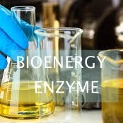 Un buon prezzo. Conversione catalizzata lipasi di iso di olio da cucina residuo in biodiesel in linea