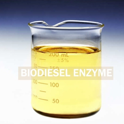 Un buon prezzo. PH 7-9 Enzimi del biodiesel ottimizzano la produzione di biodiesel con la prossima generazione in linea