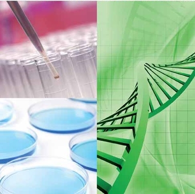 Un buon prezzo. Elevi le vostre operazioni di Biorefinery con la versatilità della tecnologia degli enzimi di CALB in linea