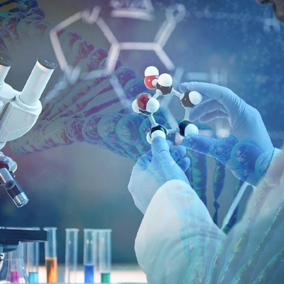 Un buon prezzo. Ottenga davanti alla concorrenza: Sfruttamento della capacità piena di Candida Antarctica Lipase B in linea