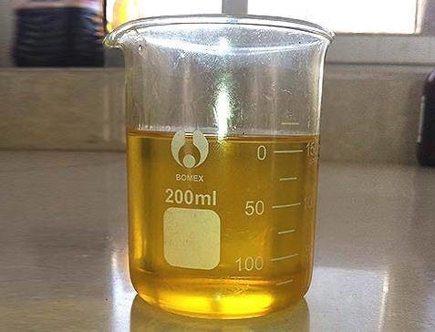 Un buon prezzo. Enzima certificato ISO di biodiesel che promuove la stabilità e la sostenibilità con Glumass in linea