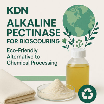Un buon prezzo. Sostenibilità promuove pratiche ecologiche Amilasi tessile per la certificazione GOTS in linea