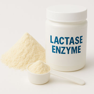 Un buon prezzo. Enzima beta-galattosidasi Sostituente della lattasi per prodotti lattiero-caseari privi di lattosio Enzimi alimentari in linea