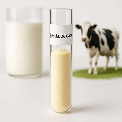 Un buon prezzo. Yogurt ai latticini senza lattosio a dosaggio personalizzabile in polvere giallo chiaro per varie esigenze di lavorazione in linea