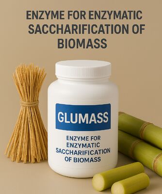 Un buon prezzo. Enzima ad alta efficienza per la saccarificazione completa della biomassa in linea