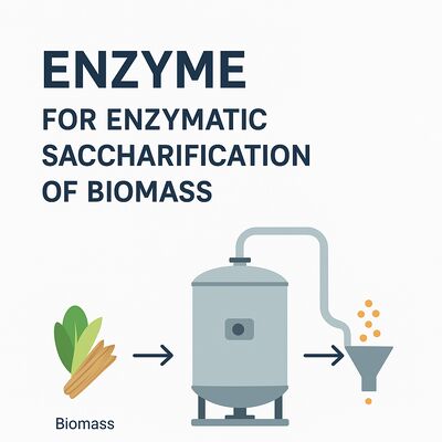 Un buon prezzo. Enzima Alcolica che Fornisce una Migliore Decomposizione dell'Alcol e un'Efficienza di Fermentazione Adatta ad Applicazioni Industriali in linea