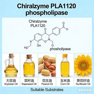 Un buon prezzo. Chiralzyme PLA1120. Fosfolipasi A1 ad alta efficienza per la disinfestazione dell'olio. in linea