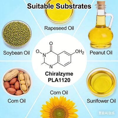 Un buon prezzo. KDN Chiralzyme PLA1120: Enzima Superiore per la Degommazione dell'Olio nella Raffinazione dell'Olio Grezzo in linea
