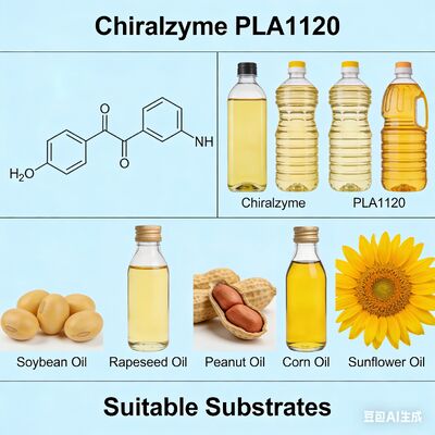 Un buon prezzo. Chiralzyme PLA1120. Enzima alimentare per una raffinatura di petrolio a basso costo. in linea