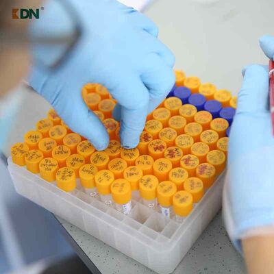Un buon prezzo. Agente di pulizia delle macchie di olio Enzima che utilizza peptidi e amminoacidi ottimizzati per applicazioni di pulizia pesante in linea