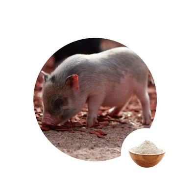 Un buon prezzo. Additivo alimentare del glucosio ossidasi di Gox per i raccoglitori naturali della tossina del pollame per i maiali in linea